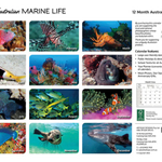 ARTIQUE - 2026 WALL CALENDAR | AUSTRALIAN MARINE LIFE
