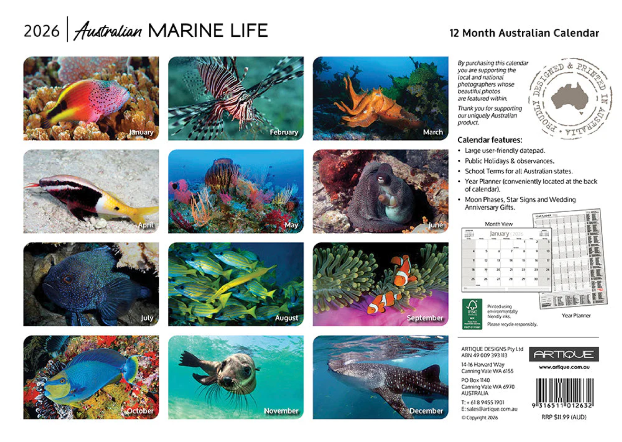 ARTIQUE - 2026 WALL CALENDAR | AUSTRALIAN MARINE LIFE