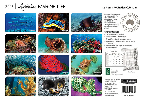 ARTIQUE - 2025 WALL CALENDAR | AUSTRALIAN MARINE LIFE