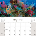 ARTIQUE - 2026 WALL CALENDAR | AUSTRALIAN MARINE LIFE
