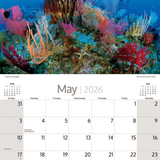 ARTIQUE - 2026 WALL CALENDAR | AUSTRALIAN MARINE LIFE