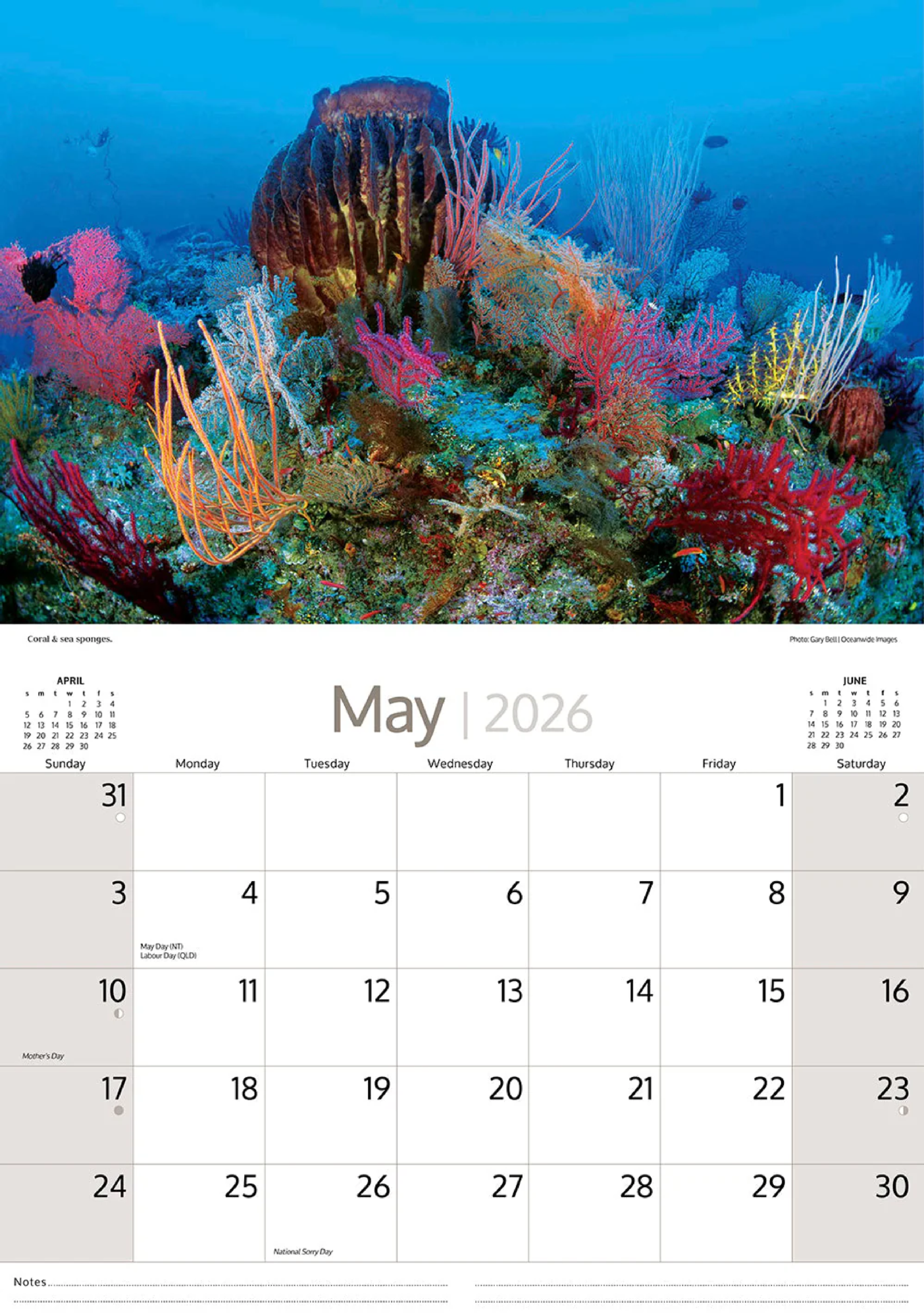 ARTIQUE - 2026 WALL CALENDAR | AUSTRALIAN MARINE LIFE