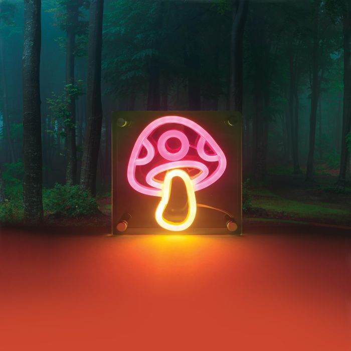 DISCOVERY ZONE - ACRYLIC LIGHT | TOADSTOOL