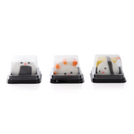 DISCOVERY ZONE - SQUISHY SUSHI