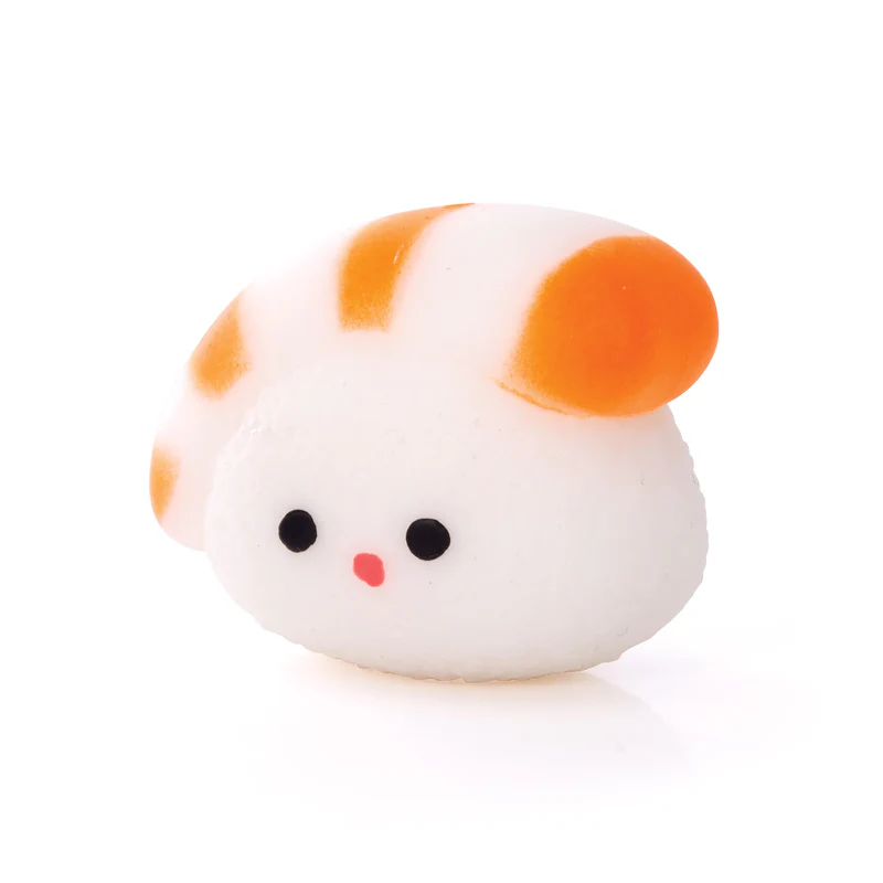 DISCOVERY ZONE - SQUISHY SUSHI