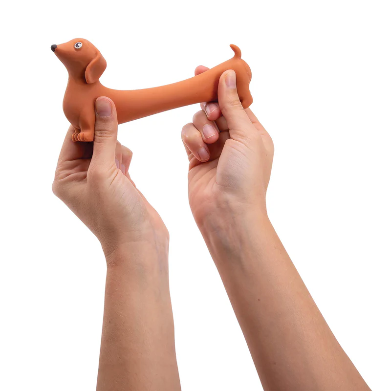DISCOVERY ZONE - STRETCHY SAUSAGE DOGS | ASSORTED