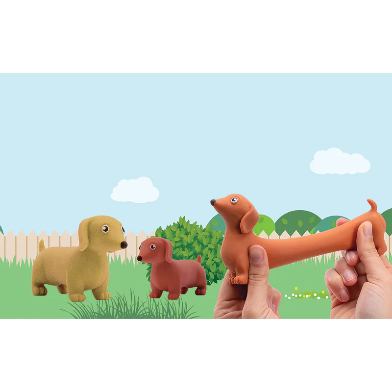 DISCOVERY ZONE - STRETCHY SAUSAGE DOGS | ASSORTED