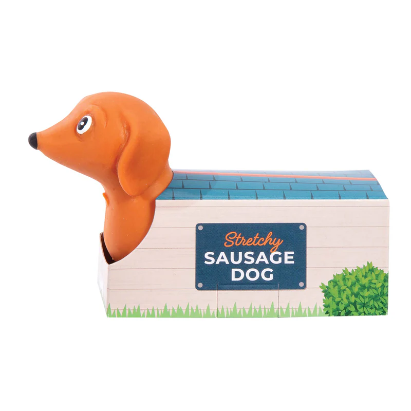 DISCOVERY ZONE - STRETCHY SAUSAGE DOGS | ASSORTED