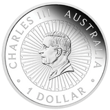 THE PERTH MINT - GREAT SOUTHERN LAND 2025 1OZ SILVER PROOF SNAKESKIN JASPER COIN