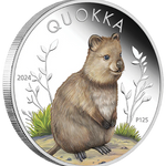 THE PERTH MINT - AUSTRALIAN QUOKKA 2024 1OZ SILVER PROOF COLOURED COIN