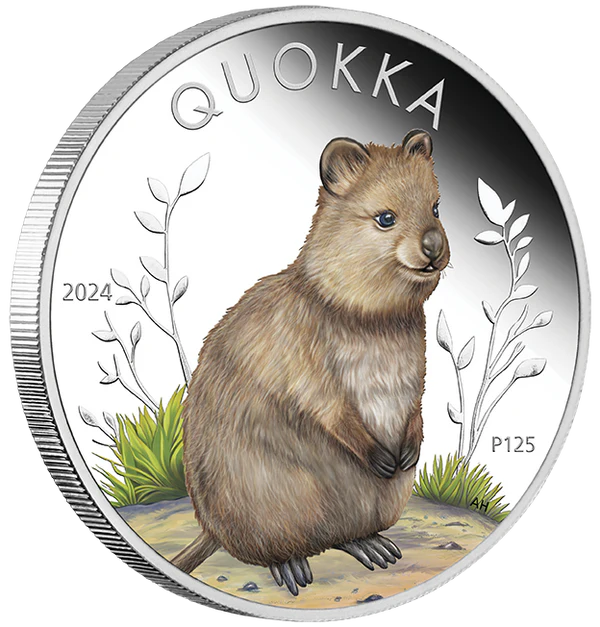 THE PERTH MINT - AUSTRALIAN QUOKKA 2024 1OZ SILVER PROOF COLOURED COIN