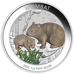 THE PERTH MINT - WOMBAT 2024 1OZ SILVER COLOURED COIN IN CARD