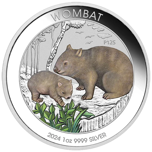 THE PERTH MINT - WOMBAT 2024 1OZ SILVER COLOURED COIN IN CARD