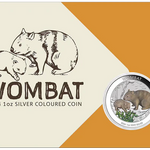 THE PERTH MINT - WOMBAT 2024 1OZ SILVER COLOURED COIN IN CARD