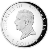 THE PERTH MINT - AUSTRALIAN KANGAROO 2026 1OZ SILVER PROOF HIGH RELIEF COLOURED COIN