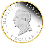 THE PERTH MINT - 40TH ANNIVERSARY OF THE AUSTRALIAN NUGGET GOLD COIN PROGRAM 2026 | 1OZ SILVER PROOF GILDED COIN