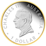 THE PERTH MINT - 40TH ANNIVERSARY OF THE AUSTRALIAN NUGGET GOLD COIN PROGRAM 2026 | 1OZ SILVER PROOF GILDED COIN