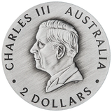 THE PERTH MINT - BUTTERFLY 2026 2OZ SILVER ANTIQUED COLOURED COIN 