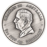 THE PERTH MINT - TURTLE YAUNATI 2026 2OZ SILVER ANTIQUED COLOURED COIN