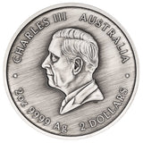 THE PERTH MINT - TURTLE YAUNATI 2026 2OZ SILVER ANTIQUED COLOURED COIN