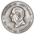 THE PERTH MINT - TURTLE YAUNATI 2026 2OZ SILVER ANTIQUED COLOURED COIN