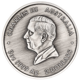 THE PERTH MINT - TURTLE YAUNATI 2026 2OZ SILVER ANTIQUED COLOURED COIN