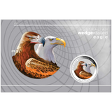 THE PERTH MINT - AUSTRALIAN WEDGE-TAILED EAGLE 2026 1OZ SILVER COLOURED COIN IN CARD
