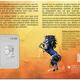 THE PERTH MINT - LUNAR HORSE 2026 1OZ SILVER COLOURED MINTED RECTANGULAR COIN IN CARD 