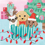 VEVOKE - BOXED CHRISTMAS CHARITY CARDS | CMRI | PLAYFUL PUPPIES