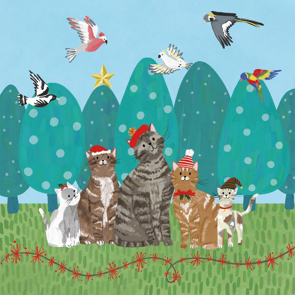 VEVOKE - BOXED CHRISTMAS CHARITY CARDS | BCNA | SANTA CATS