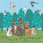 VEVOKE - BOXED CHRISTMAS CHARITY CARDS | BCNA | SANTA CATS