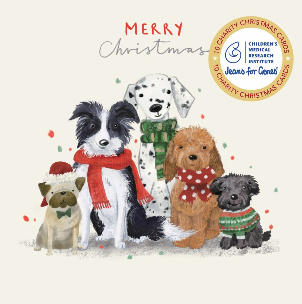 VEVOKE - BOXED CHRISTMAS CHARITY CARDS | CMRI | FURRY FRIENDS