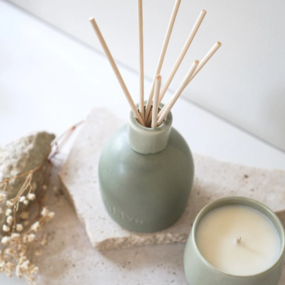 ALIVE BODY - BLACKCURRANT & CARIBBEAN WOOD DIFFUSER