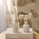 AL.IVE BODY - REED DIFFUSER | SEA COTTON & COCONUT