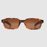 THE BUZZ TURTLE DARK BROWN