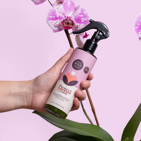 WE THE WILD - ORCHID CARE DUO