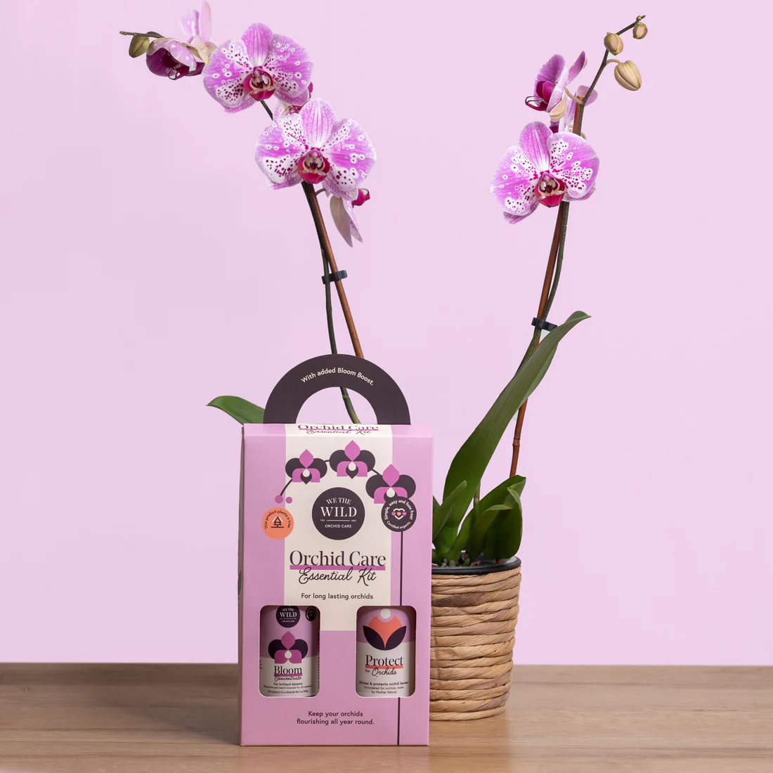 WE THE WILD - ORCHID CARE DUO