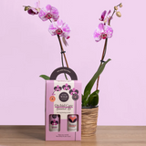 WE THE WILD - ORCHID CARE DUO