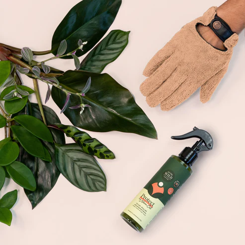 WE THE WILD - PROUD PLANT MUM LEAF HEALTH  KIT