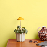 WE THE WILD - INSTANT SUN GROW LAMP 
