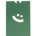 THE SOMEWHERE CO - LARGE ICE BRICK | FOREST GREEN
