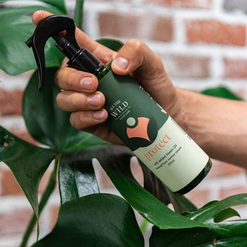 WE THE WILD - PROTECT SPRAY WITH NEEM 