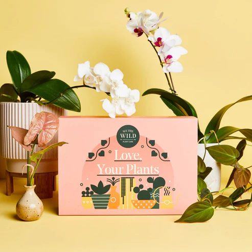 WE THE WILD - LOVE GIFTBOX ESSENTIAL KIT 