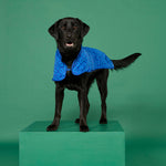 BLUNT - DOG JACKET | SMALL | PUDDLE BLUE