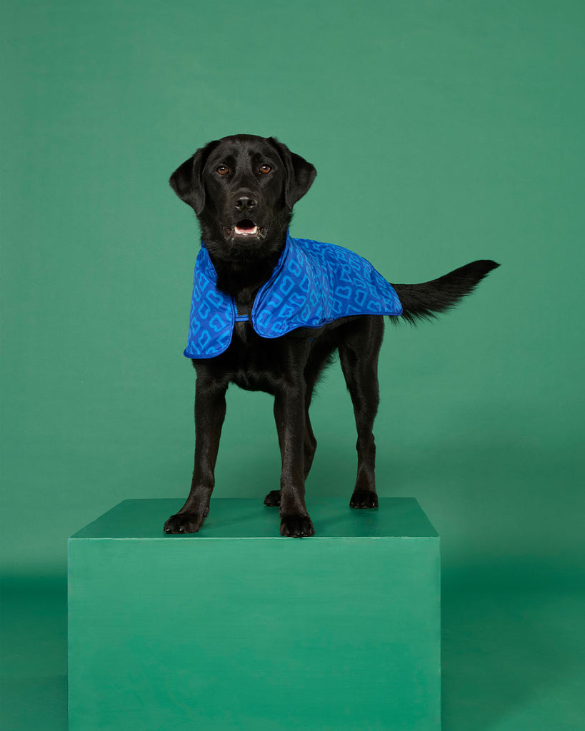 BLUNT - DOG JACKET | SMALL | PUDDLE BLUE