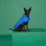 BLUNT - DOG JACKET | SMALL | PUDDLE BLUE