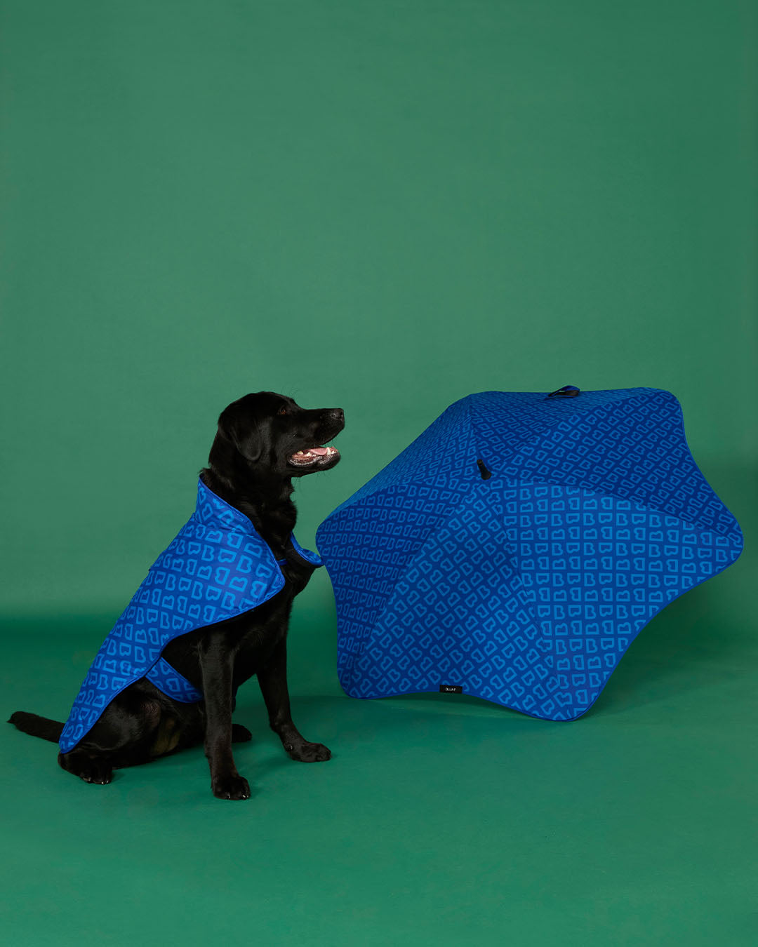 BLUNT - DOG JACKET | SMALL | PUDDLE BLUE