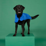 BLUNT - DOG JACKET | LARGE | PUDDLE BLUE 2