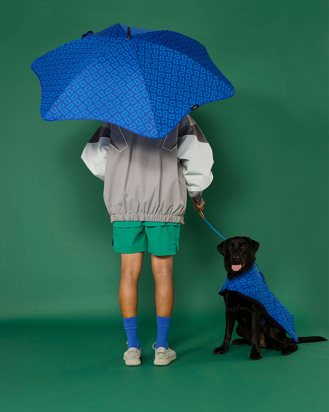 BLUNT - DOG JACKET | LARGE | PUDDLE BLUE 2