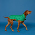 BLUNT - DOG JACKET | SMALL | PARK GREEN